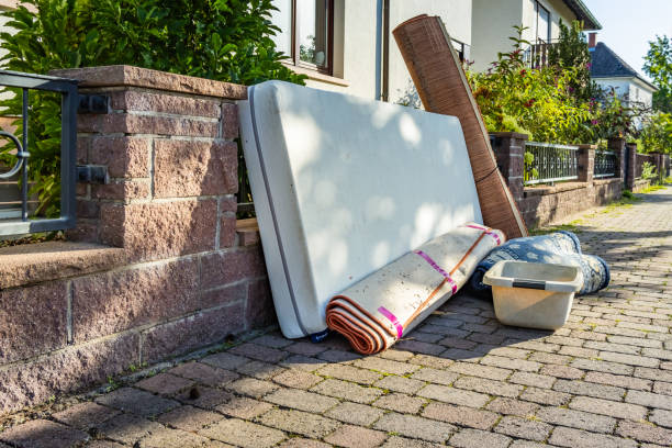 Best Professional Junk Removal  in Willard, UT